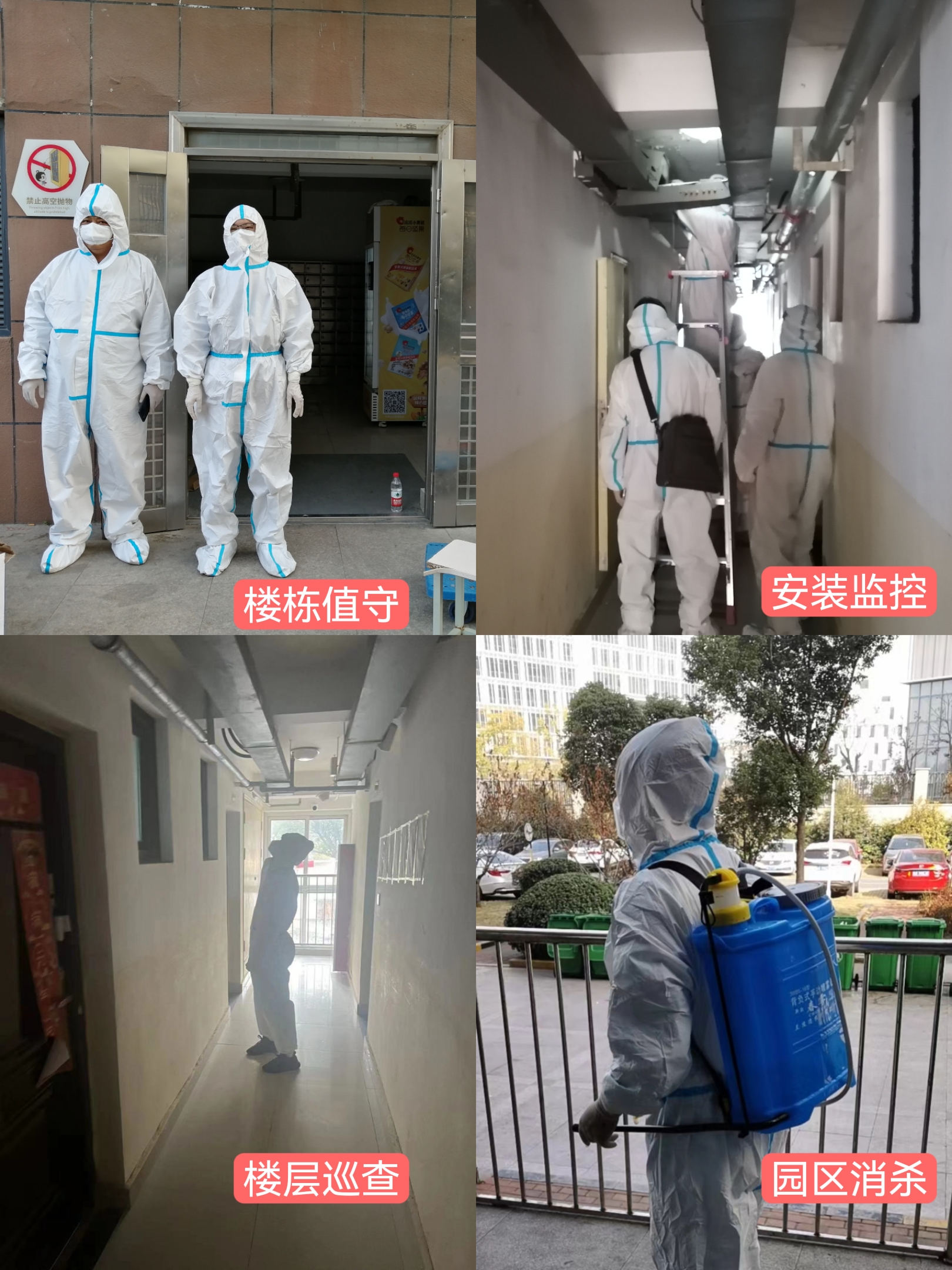 首页- 尊龙集团中国官网入口