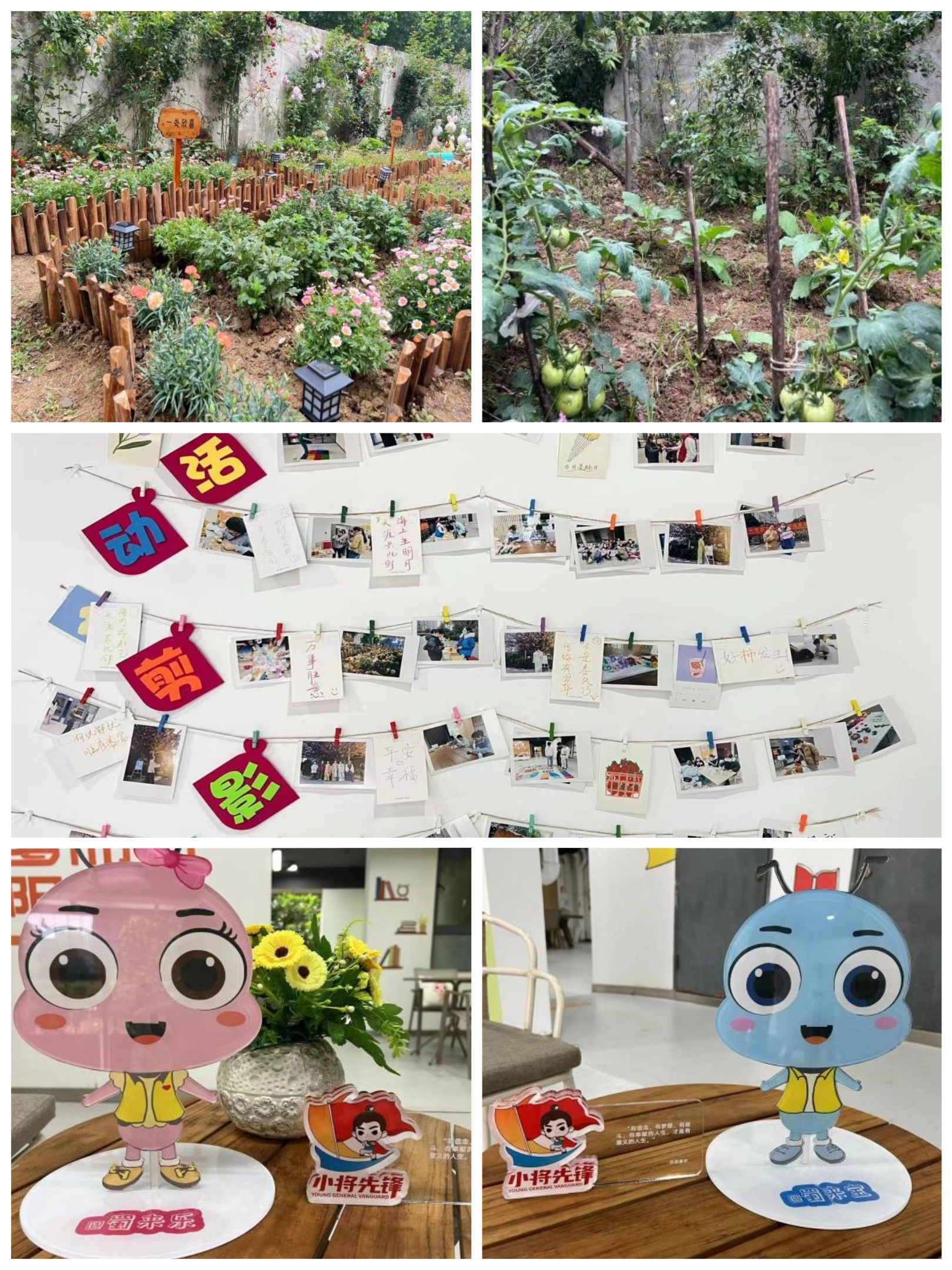 首页- 尊龙集团中国官网入口