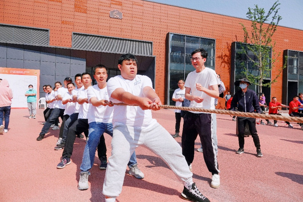 1682672152288358 1682672152288358